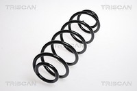2X Triscan Fahrwerksfeder Hinterachse U.A. FüR CitroËN, Peugeot