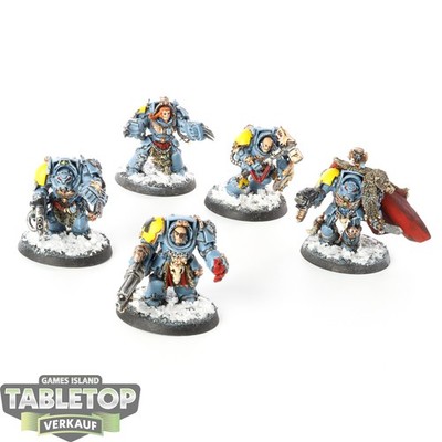Space Wolves - 5x Wolf Guard Terminators - bemalt