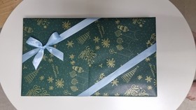 Lego Creator 10245 Santa's Workshop Christmas New Factory Sealed Retired Set 1