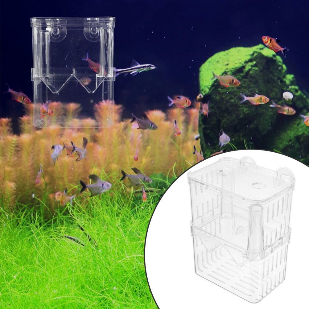 2pz Incubatrice Riutilizzabile Pesci Friggitrice Incubatrice Plastica Trasparente Allevamento Box foto 6