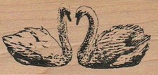 Swans 1 1/2 x 3" Rubber Stamp, Bird Stamp, Bird Lover Stamp
