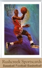 1990-91 Hoops #358 Michael Jordan
