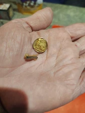 Rare VINTAGE 10K GOLD PAST PRESIDENT & GOLD FILL NFBPWC PIN AWARD