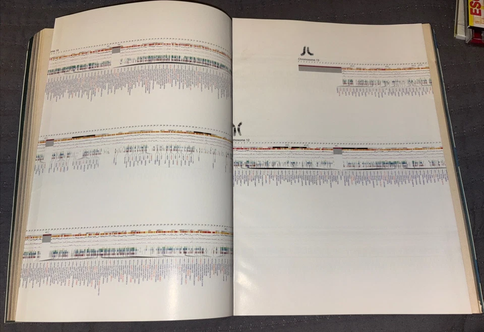 *RARE* Nature  Magazine Human Genome w/ Foldout February 2001 Vol 409 Issue 6822 - Image 2 of 4