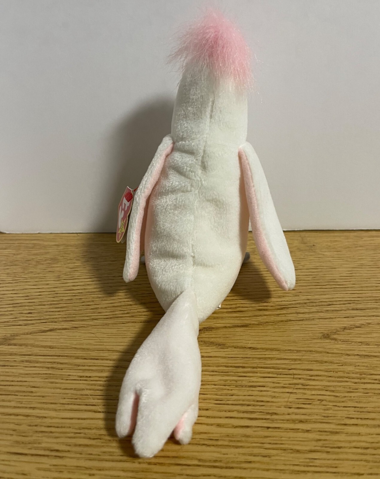 Picture 5 of 10