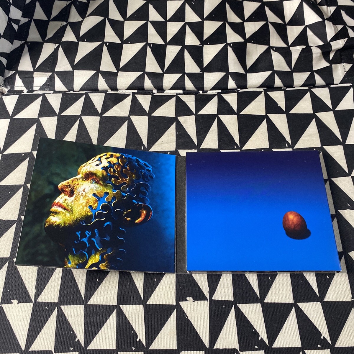 Pearl Jam, Avocado by Pearl Jam (CD, 2006, J Records) [Digipak