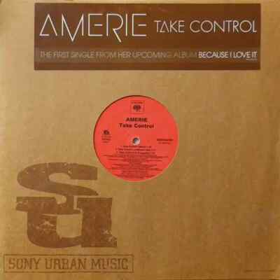 Amerie Take Control Vinyl Single 12inch NEAR MINT Columbia