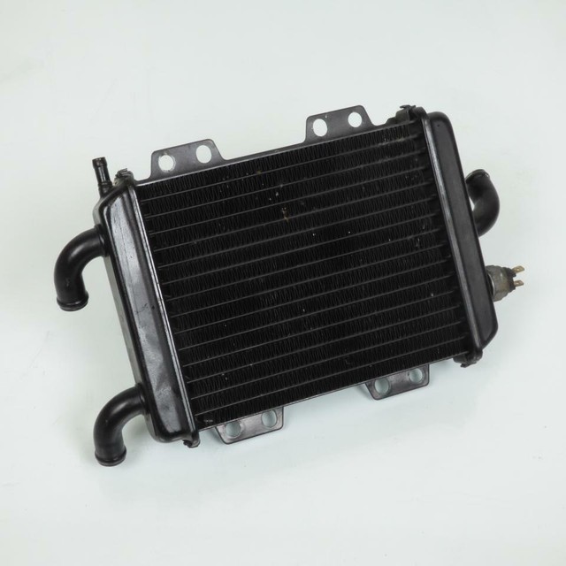 Radiador de Refrigeración origine Peugeot Moto 125 Elyseo 2000 45293 Utiliza Compra online en eBay