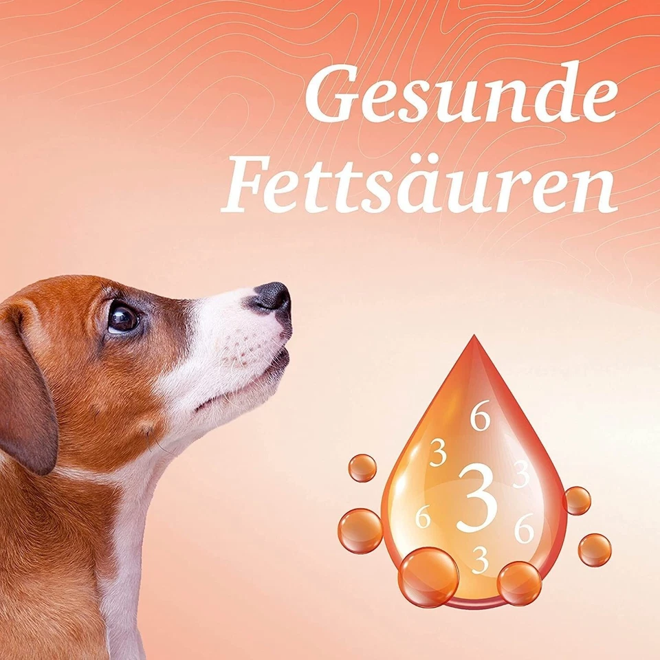 Martenbrown® Lachsöl 5L – Norwegisches Fischöl für Hunde, Katzen & Pferde - Bild 4 von 4