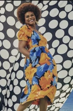 Tabitha Brown for Target - SIZE  8 Orange/Blue Puff Sleeve Tie Back Dress