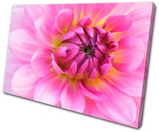 Floral Flowers BOTANICAL SINGLE CANVAS WALL ART Picture Print VA