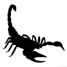 Scorpion - Decal Sticker - Multiple Colors & Sizes - ebn6104