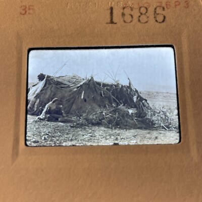 1686 Edward Curtis  Summer Hut  Achomawi  Native American 35mm Slide