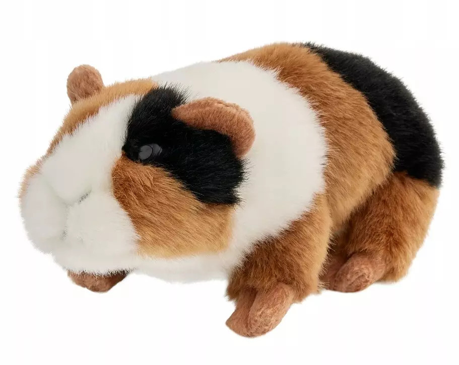 5901703124367 winka morska 18cm Beppe