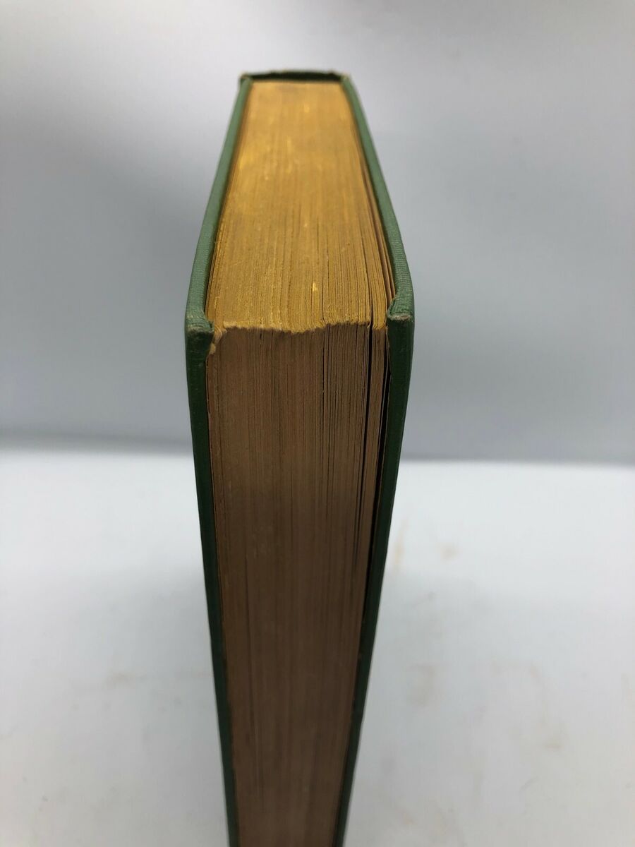 Bambi, A Life in The Woods. Felix Salten. First Edition 1928 Bambi, A Life in The Woods. Felix Salten. First Edition 1928
