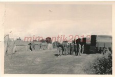 Foto, GST Zwickau, im Zeltlager, Abladen der LKW 2, ca 1965, 5026-671