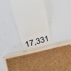 Picture 9 of 9