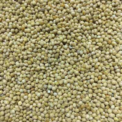 Weiße Hirse - Silberhirse 3 kg