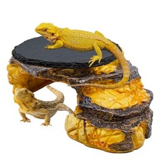 Bearded Dragon Basking Platform, Turtle Basking Platform Decorative Reptile H...