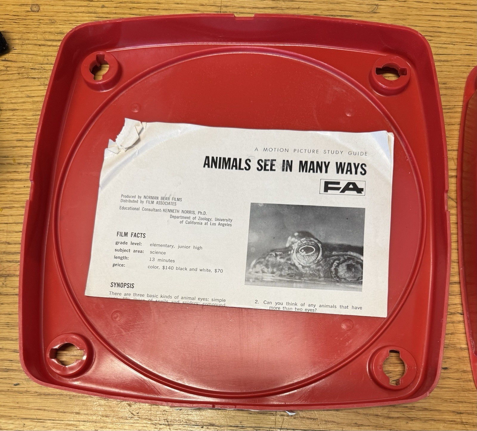 1 - 16mm  800'  EMPTY  METAL  FILM  REEL  TAYLOREEL  (  GREY )     A-     NICE