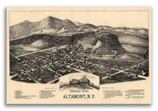 Bird's Eye View 1890 Altamont New York Vintage City Map - 16x24