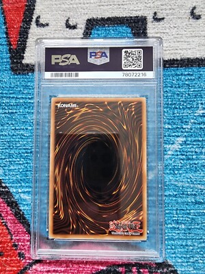 Firewall Dragon Darkfluid - Neo Tempest Terahertz MAZE-EN028