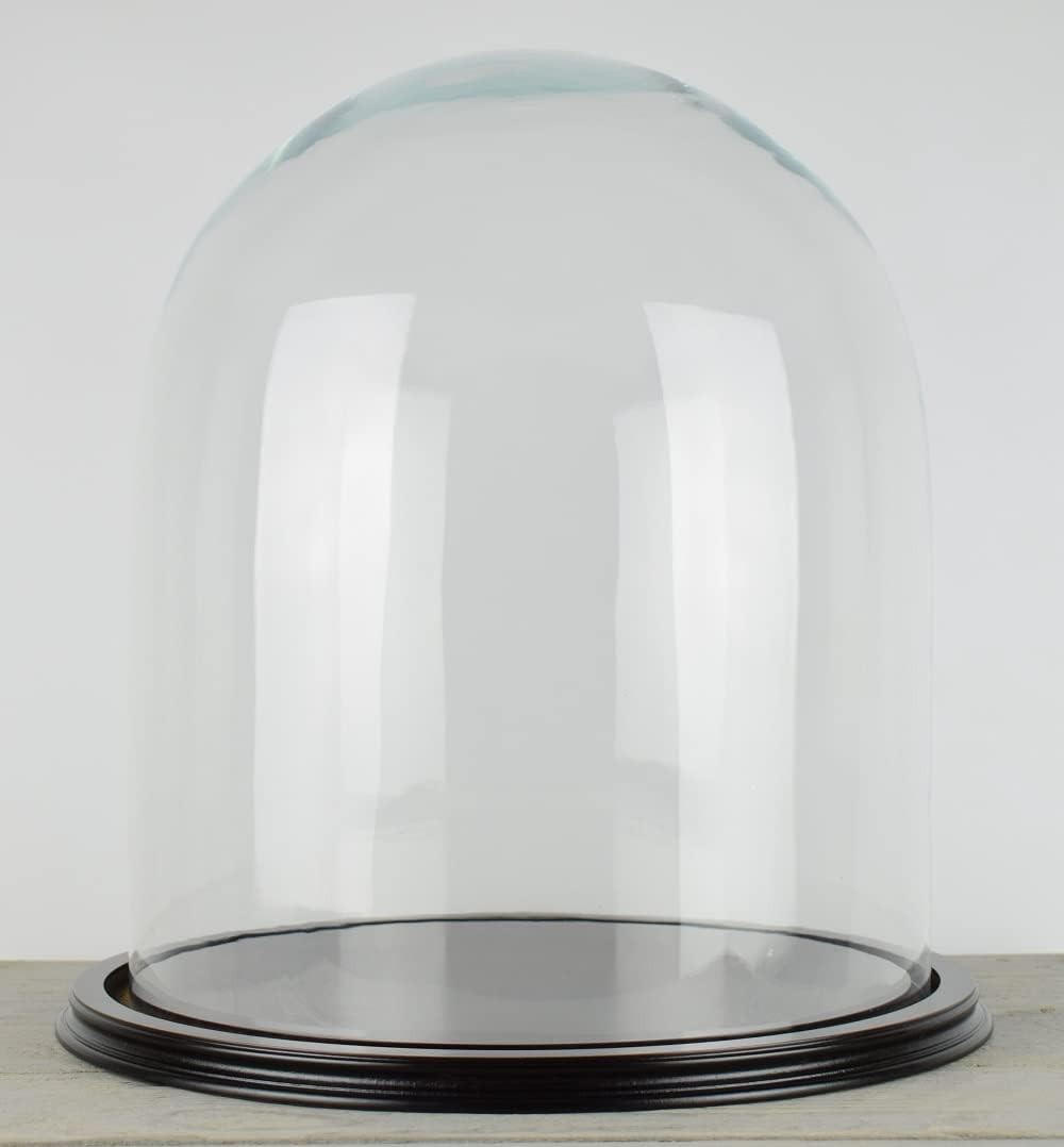 Vintage Look Glass Dome With Wooden Base Height 51.5 cm x 32.5 cm
