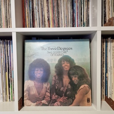 The Three Degrees - Take Good Care Of Yourself Vinyl LP 1975 UK (VG/VG)