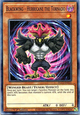 Blackwing - Hurricane The Torando DLCS-EN031 YU-Gi-Oh! Light Play 1st Edition 