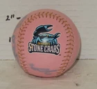 Signed Autographed Charlotte Stone Crabs Baseball Unknown Signatures FSL