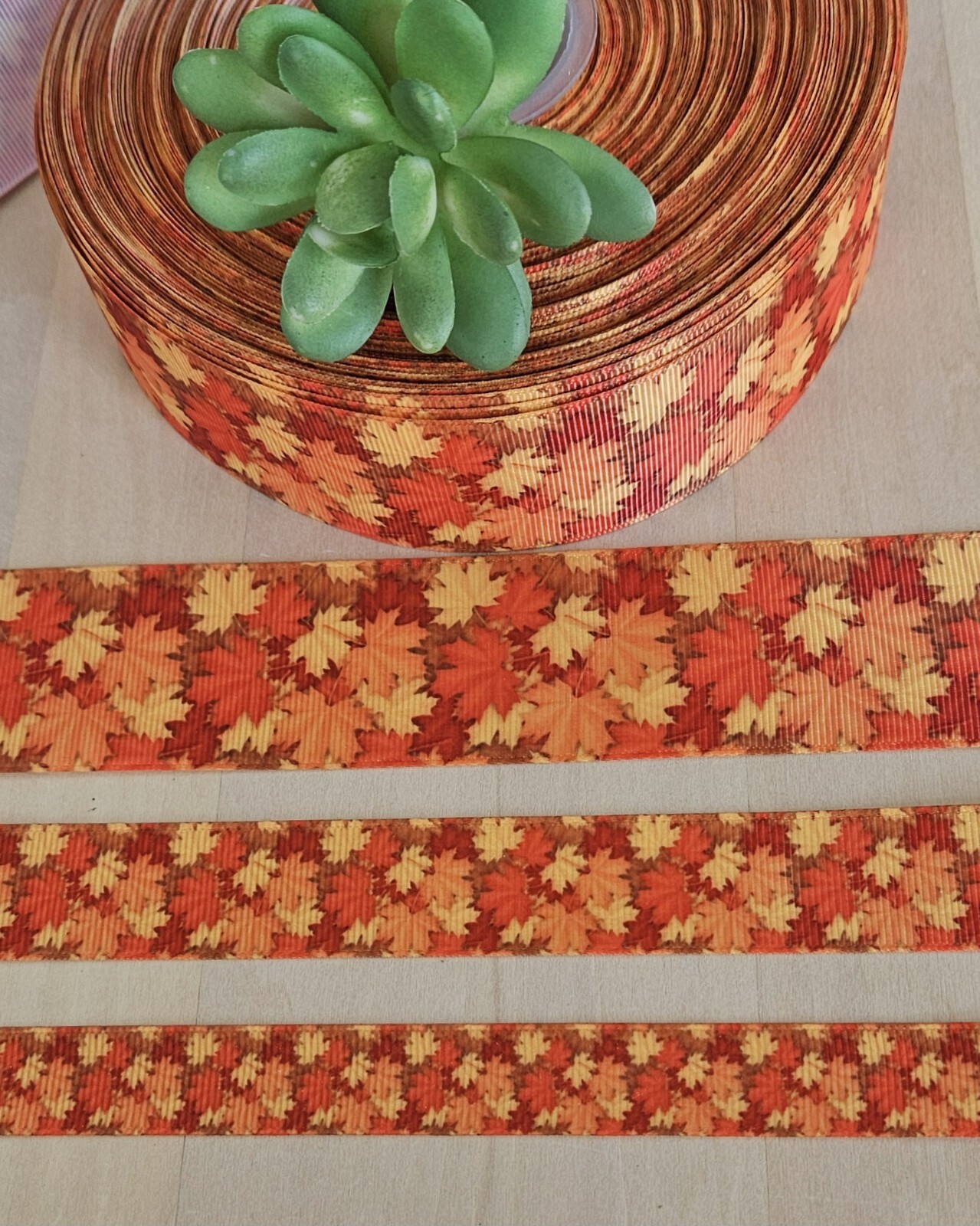 Maple Ribbon Coord 3/8, 5/8, 7/8 & 1.5