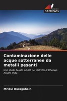 Mridul Buragohain | Contaminazione Delle Acque Sotterranee Da Metalli Pesanti