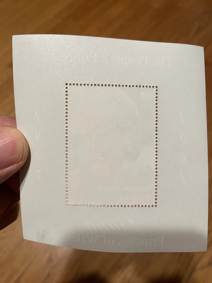 Estampillas escocesas - La princesa del pueblo - Diana princesa de Gales - Mini placa Foto 2 de 2