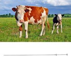 Farm Universal Cow Inseminating Rod Artificial Animal Breeding Tool 0.25ML 0.5ML