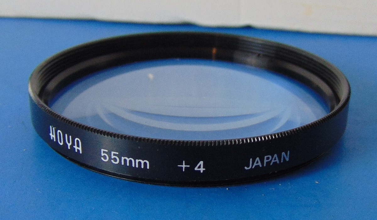 hoya ホヤ フィルラ ロング 4号 Amazon｜ホヤ(桜ラン)・ロンギフォリア 吊鉢5号鉢【品種で選べる