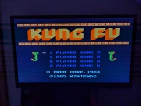 Double Dragon & Kung Fu NES Nintendo Game Lot Tested& Working! Authentic