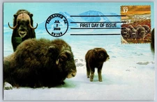 #3802d Arctic Tundra Musk Oxen FDC Maxi Card