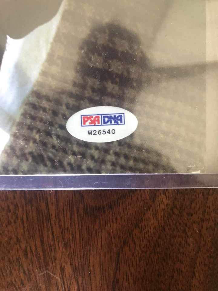 BILL RUSSELL #6 PSA/DNA CERTIFIED SIGNED AUTOGRAPHED 16X20 PHOTOGRAPH CELTICS . - Image 4 of 4