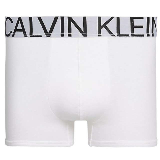 calvin klein 1981 boxers