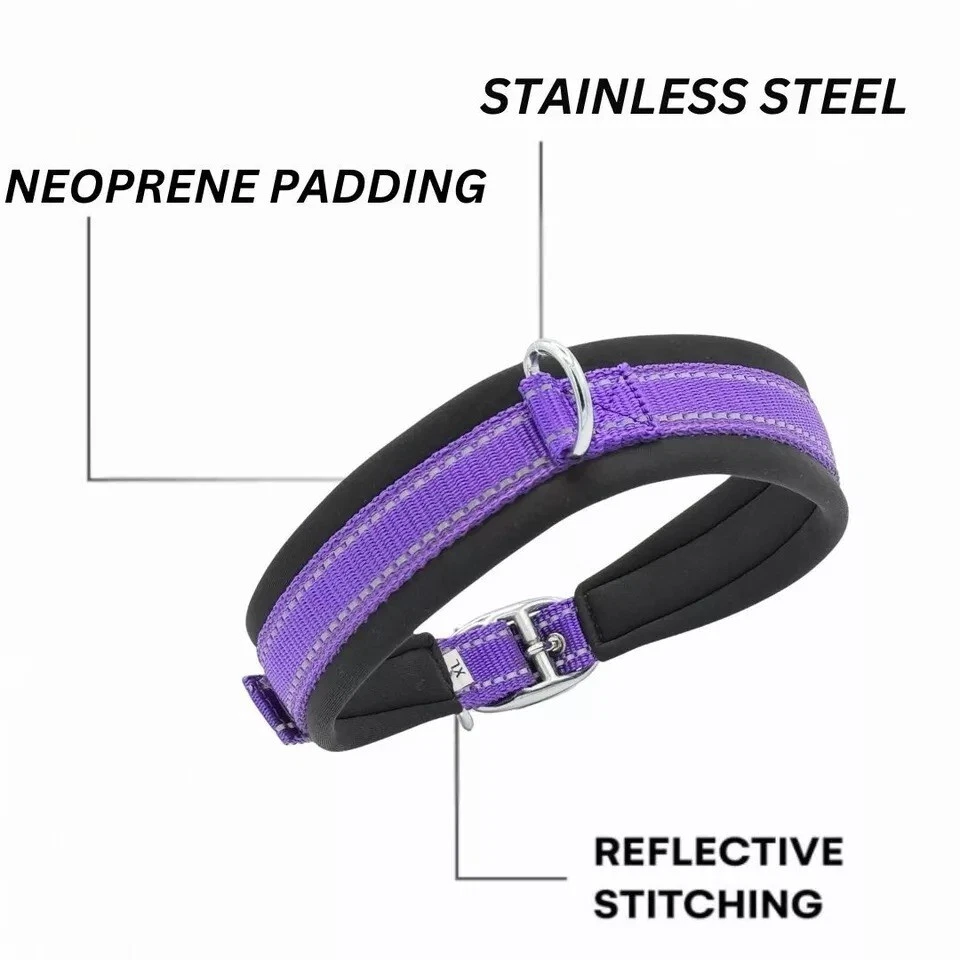 NYLON DOG COLLAR SOFT PADDED ALL BREED COLLAR ADJUSTABLE & STURDY WHIPPET STAFFY - Image 2 of 4