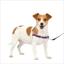 Petsafe harness Dogs and Cats - Please read - No returns