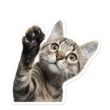 Cat Paw Vinyl Sticker Cute Kitten