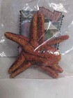  Wendy's Kid's Meal Wild Life Toy 2000 Octopus — photo 2