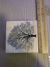 PSX K-1457 The Great Oak Tree  Winter No Leaves Spooky Wooden Rubber Stamp
