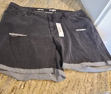 New! Vigoss Women Plus Suze 24W Marley Mid Rise Distressed Rolled Cuff Shorts