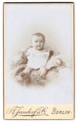 Fotografie A. Jandorf & Co., Berlin, Belle-Alliance-Str. 1&2, Porträt eines Kle 