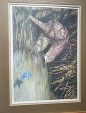Limited Edition Dick Twinney Otter & Kingfisher Print from 1988 VG No 79/850