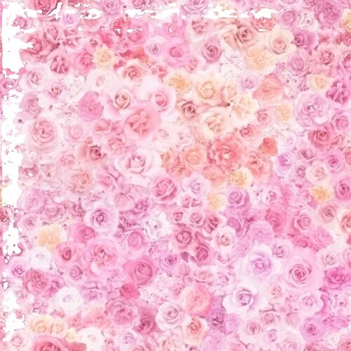 Moda 棉玫瑰工艺面料