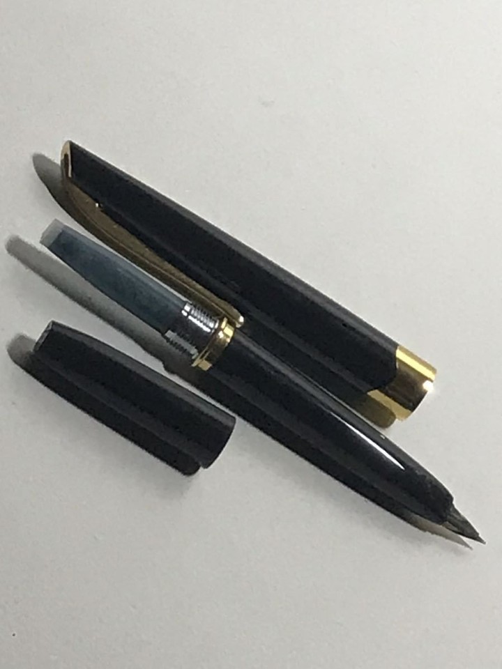Pilot Fountain Pen 14K Black Gold Fine Print eBay