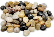 Cerpourt 5lb Polished Pebbles for Plants,Gardens, Décor, Landscaping,...